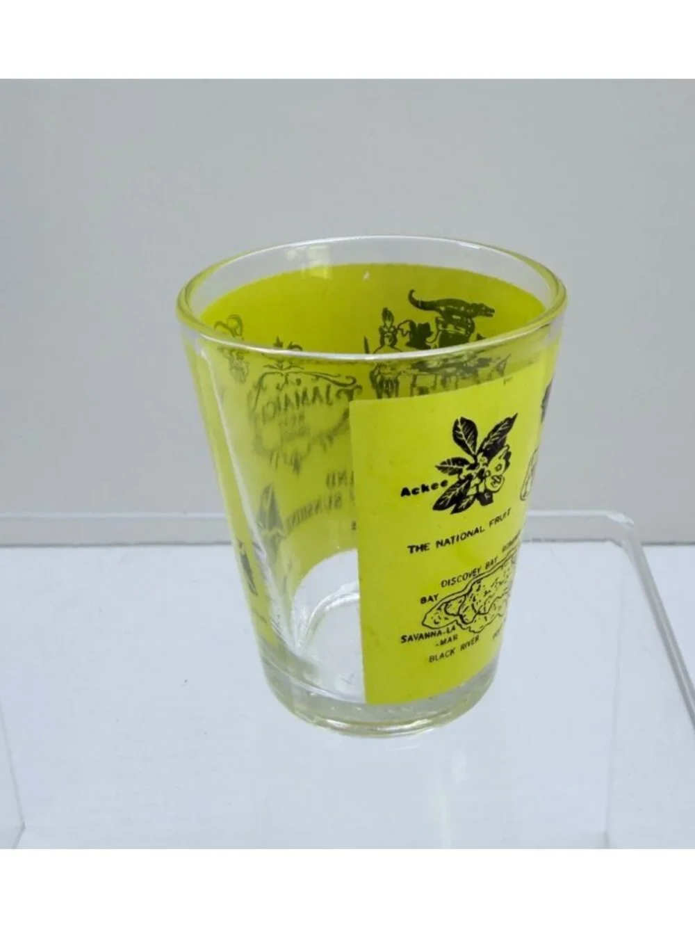 Jamaica West Indies Shot Glass Land of Sunshine Landmarks Vintage Souvenir